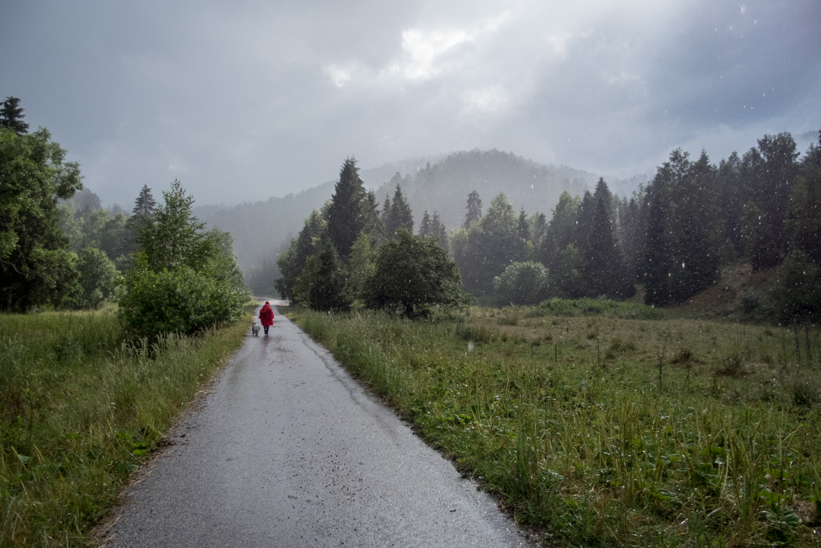 Skalisko z Henclovej (Volovské vrchy)