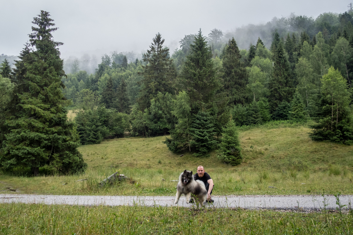 Skalisko z Henclovej (Volovské vrchy)