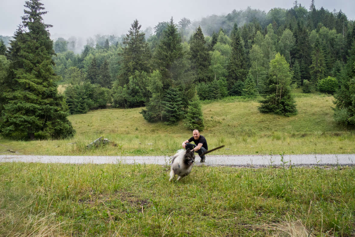 Skalisko z Henclovej (Volovské vrchy)