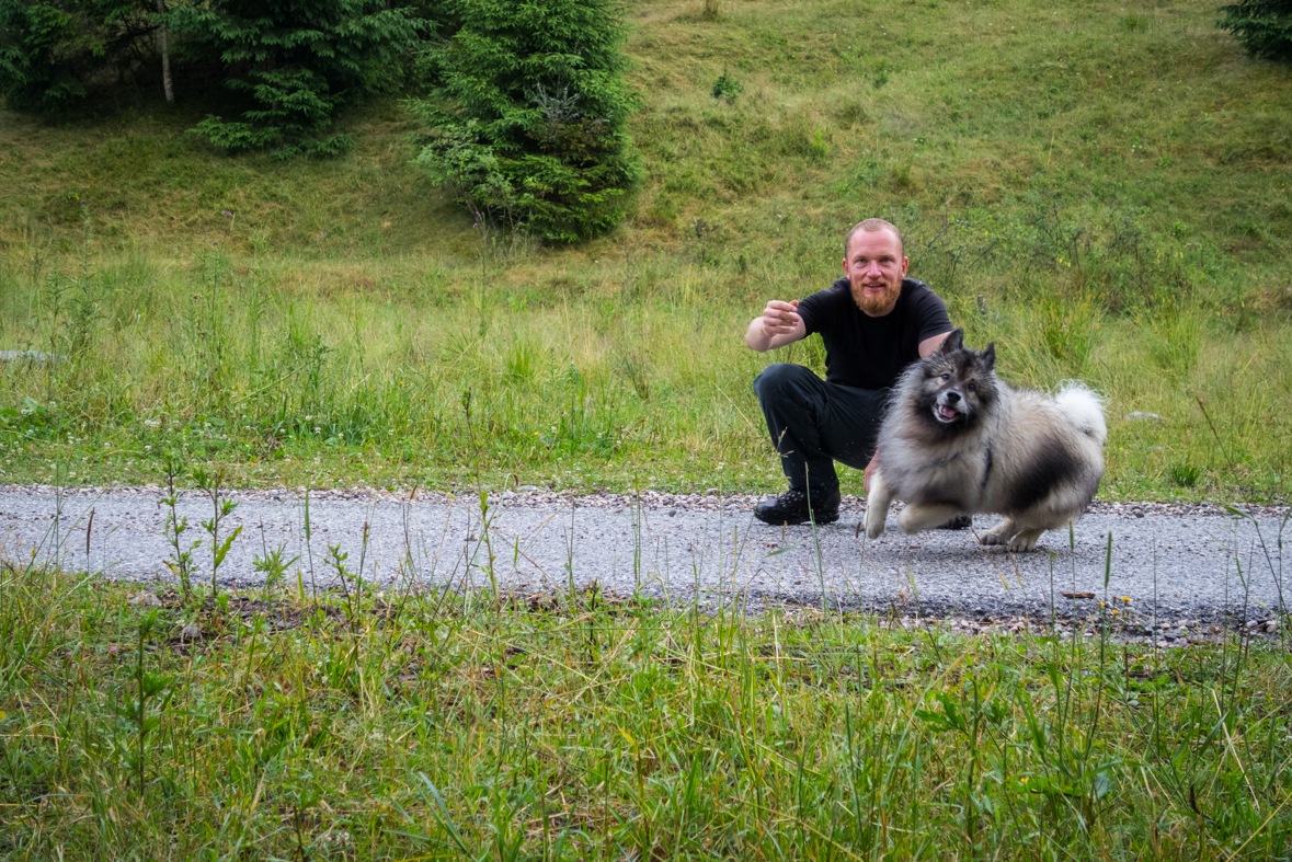 Skalisko z Henclovej (Volovské vrchy)