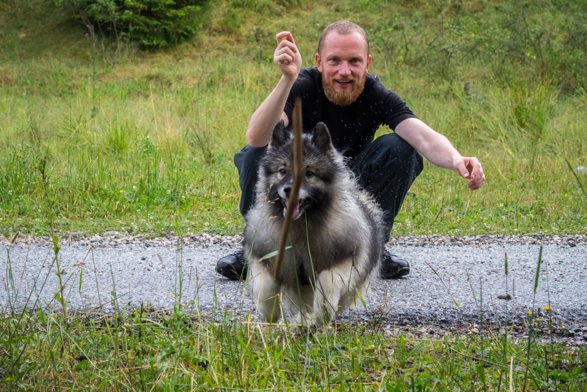 Skalisko z Henclovej (Volovské vrchy)