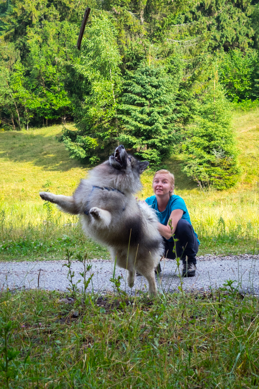 Skalisko z Henclovej (Volovské vrchy)