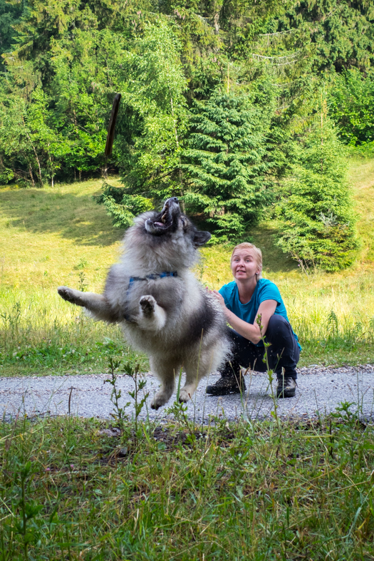 Skalisko z Henclovej (Volovské vrchy)