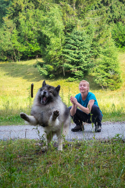 Skalisko z Henclovej (Volovské vrchy)