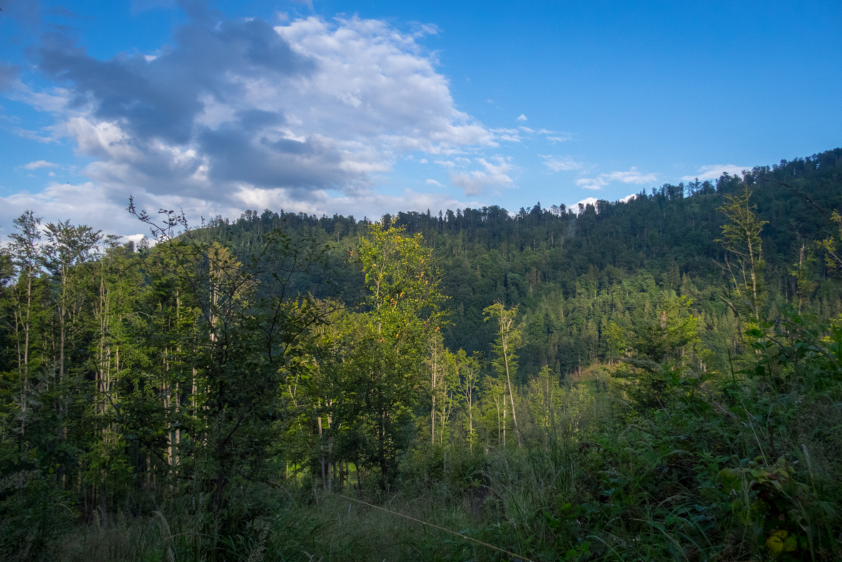 Skalisko z Henclovej (Volovské vrchy)