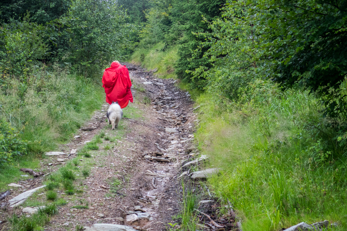 Skalisko z Henclovej (Volovské vrchy)