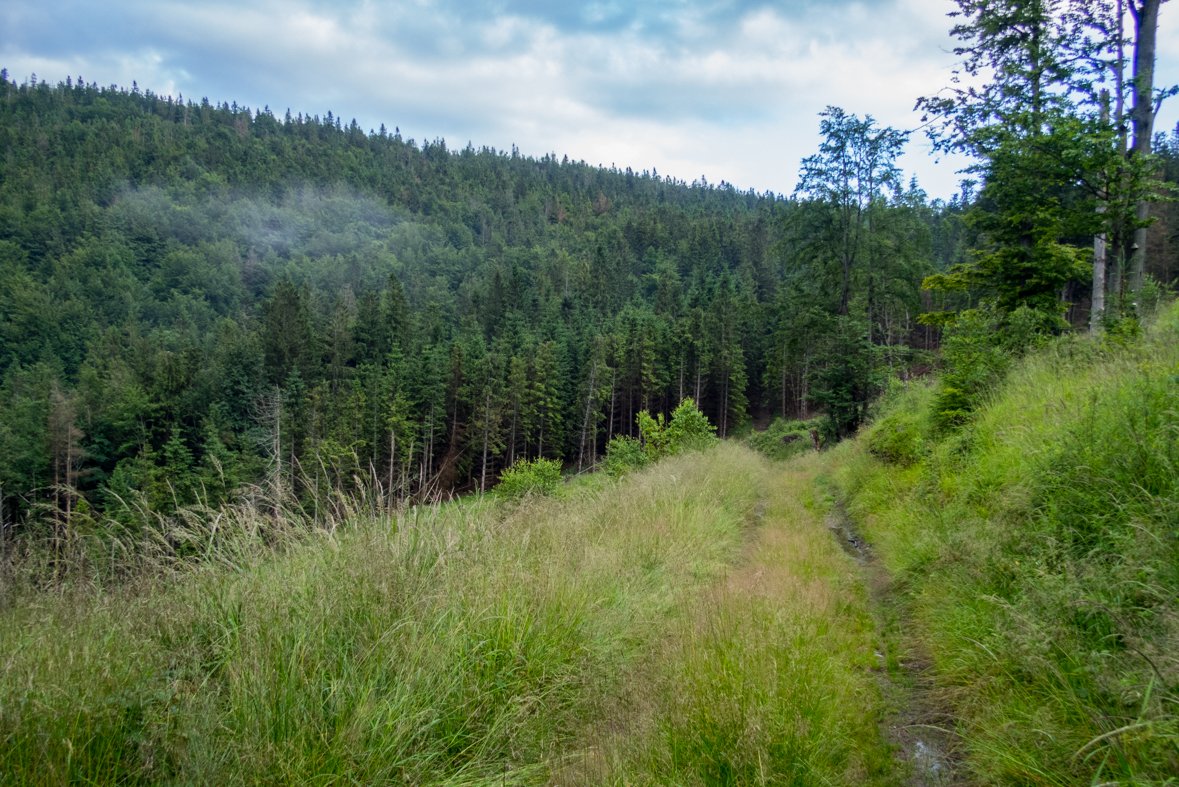 Skalisko z Henclovej (Volovské vrchy)