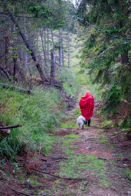 Skalisko z Henclovej (Volovské vrchy)