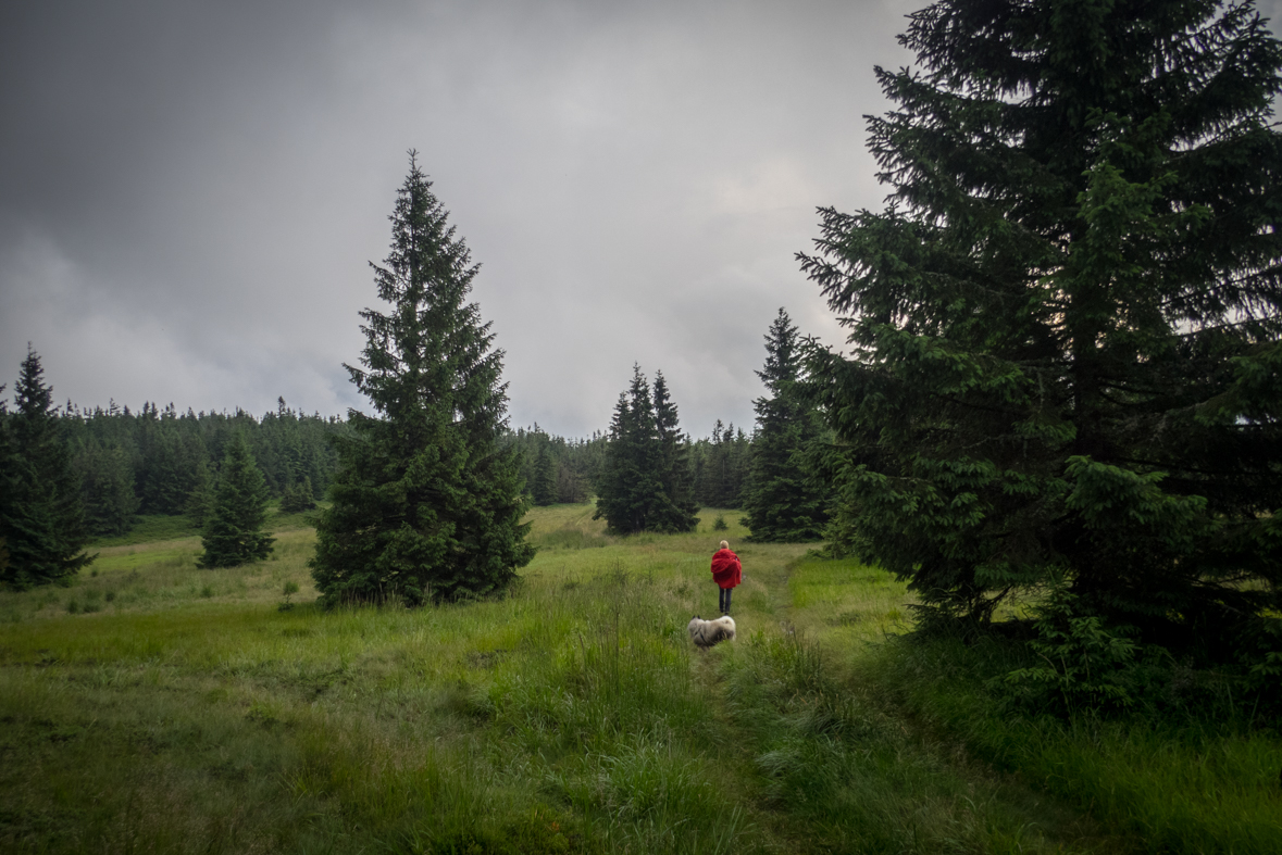 Skalisko z Henclovej (Volovské vrchy)