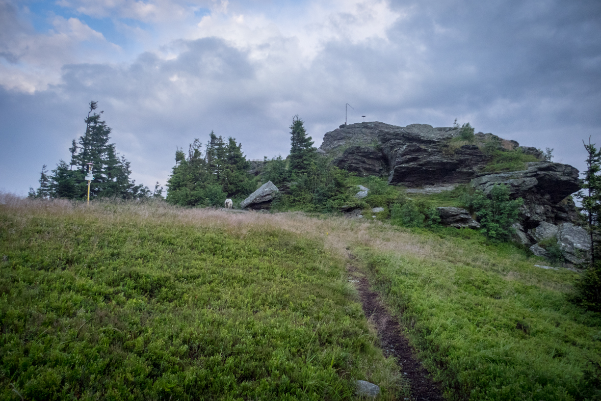 Skalisko z Henclovej (Volovské vrchy)