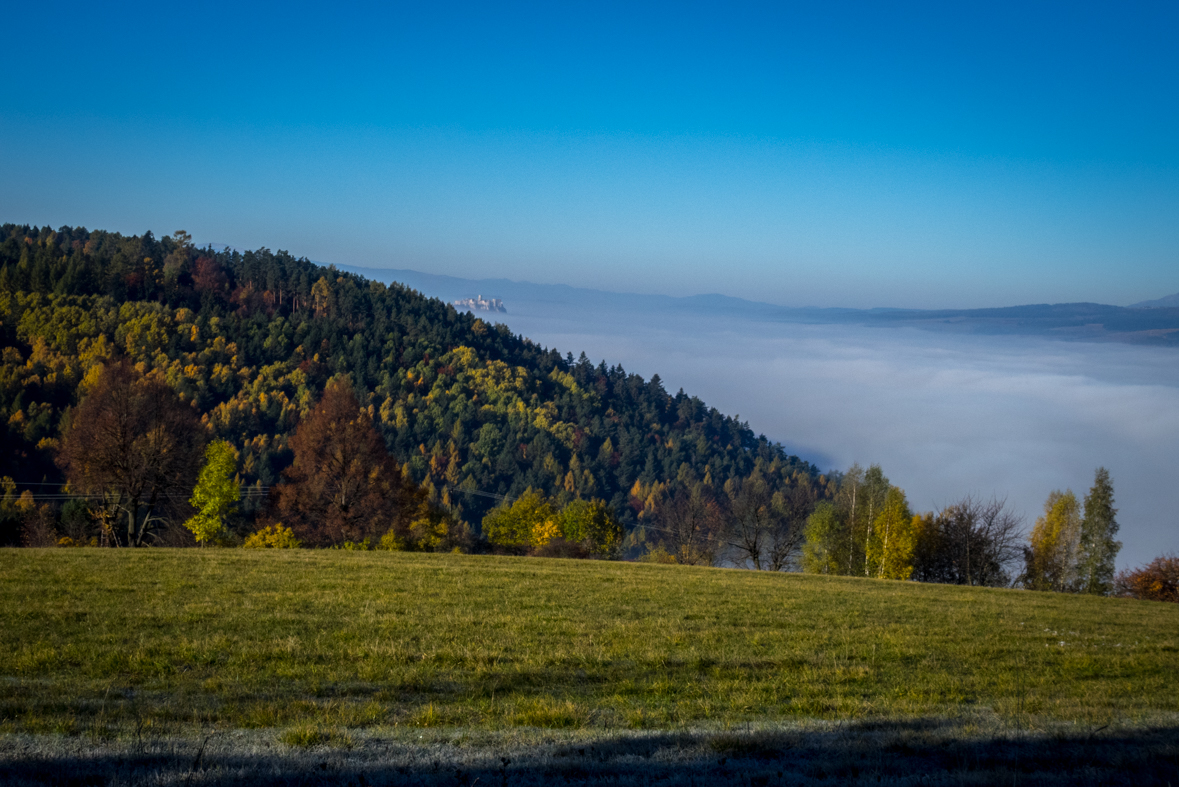 Sľubica z Dúbravy (Branisko)