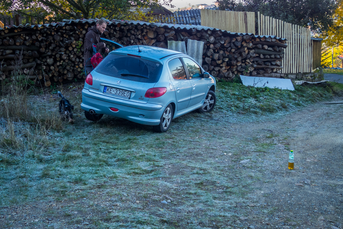 Sľubica z Dúbravy (Branisko)