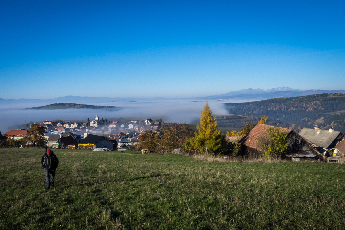 Sľubica z Dúbravy (Branisko)