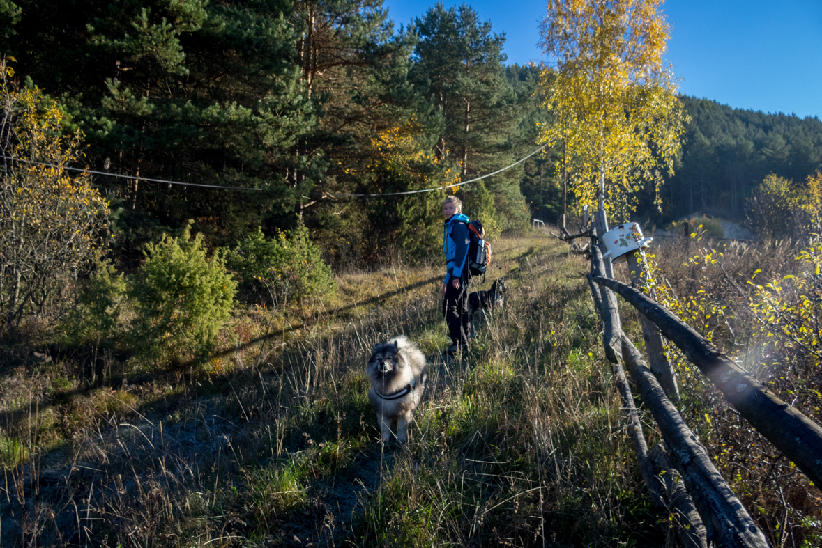 Sľubica z Dúbravy (Branisko)