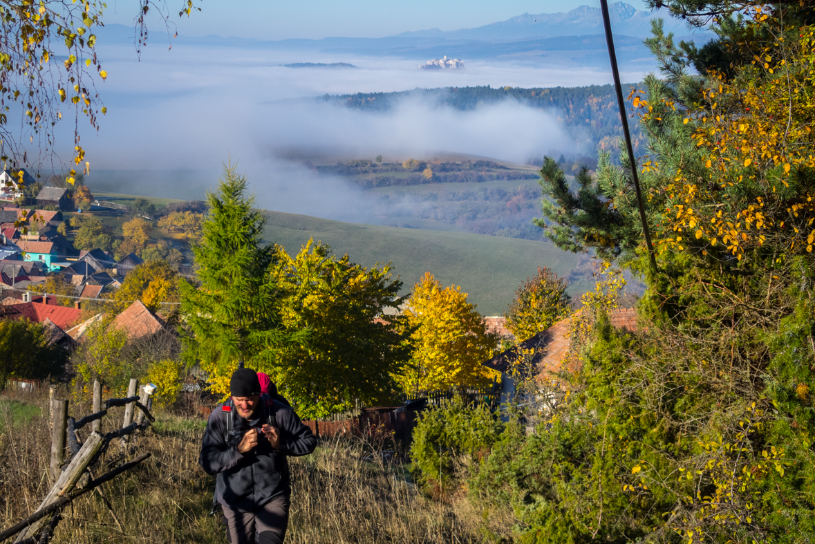 Sľubica z Dúbravy (Branisko)