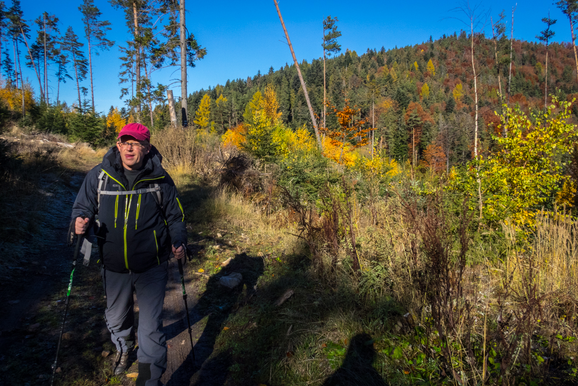 Sľubica z Dúbravy (Branisko)