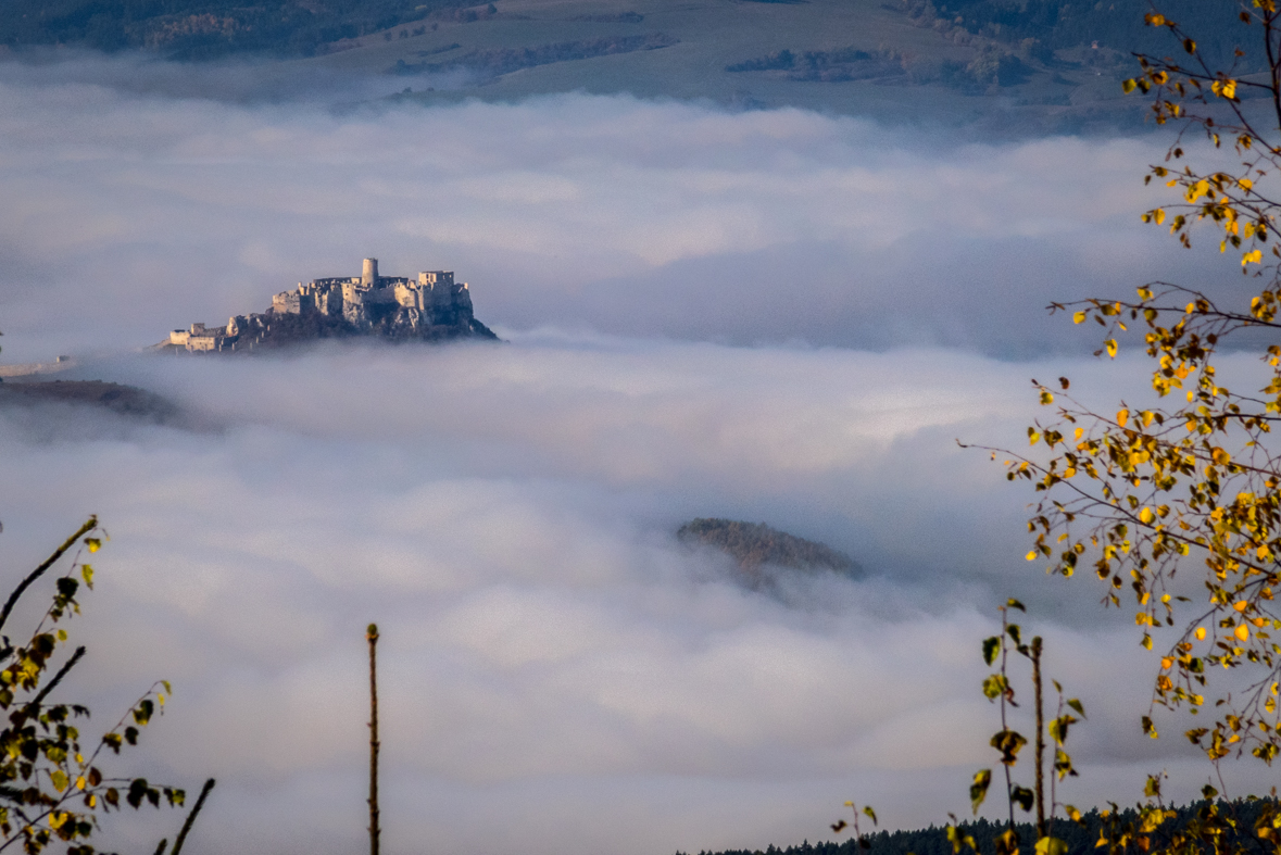 Sľubica z Dúbravy (Branisko)