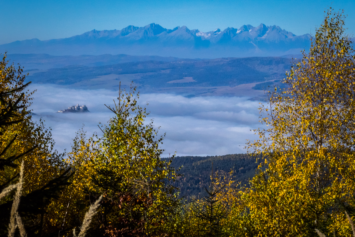 Sľubica z Dúbravy (Branisko)