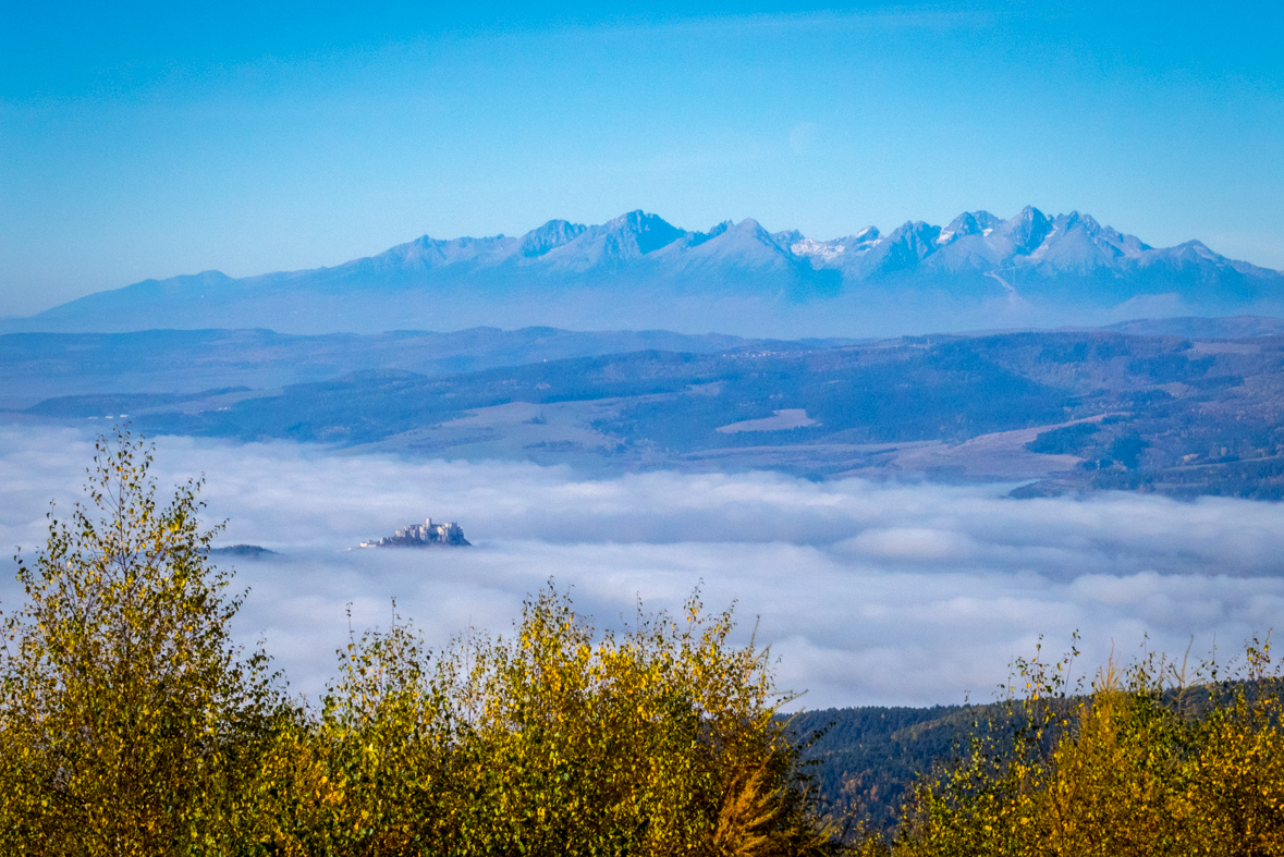 Sľubica z Dúbravy (Branisko)