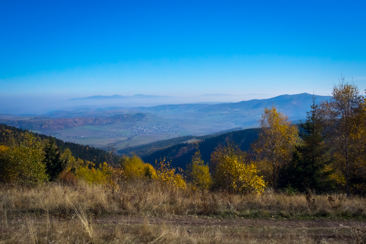 Sľubica z Dúbravy (Branisko)