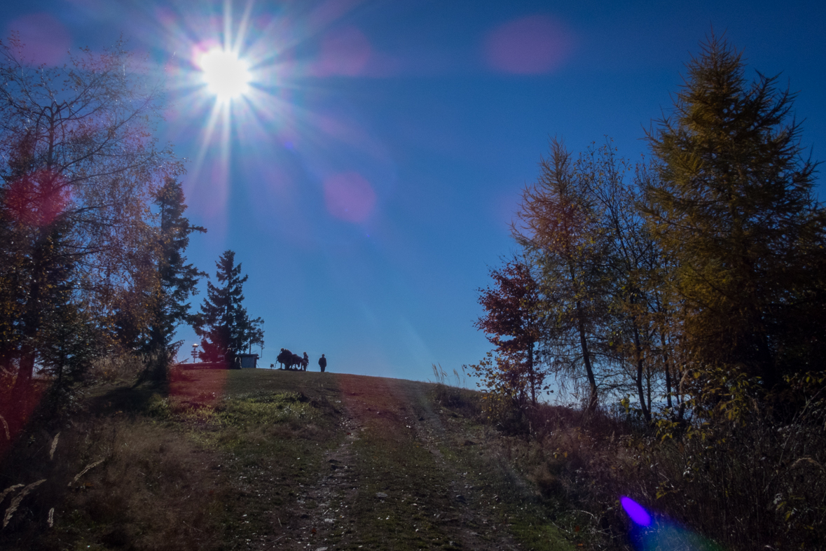 Sľubica z Dúbravy (Branisko)