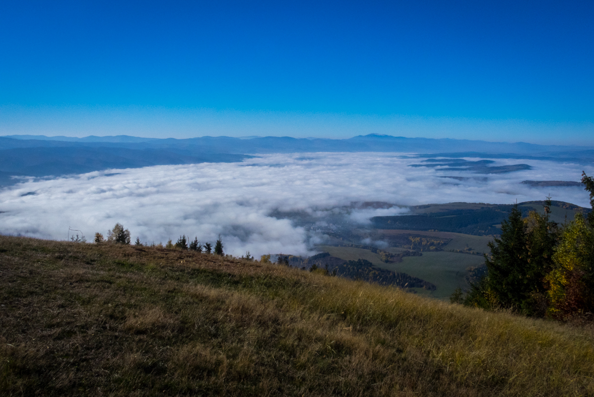 Sľubica z Dúbravy (Branisko)