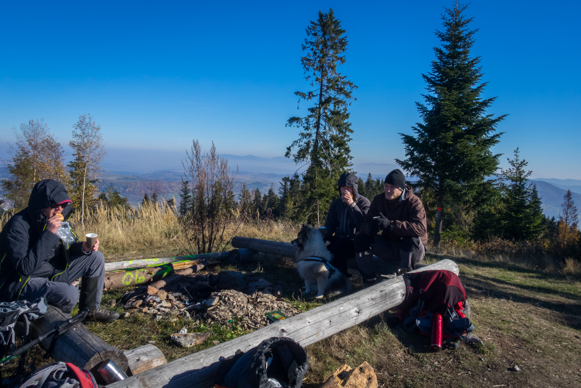 Sľubica z Dúbravy (Branisko)