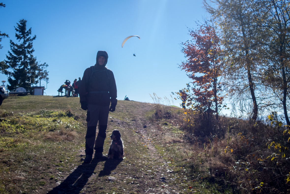 Sľubica z Dúbravy (Branisko)