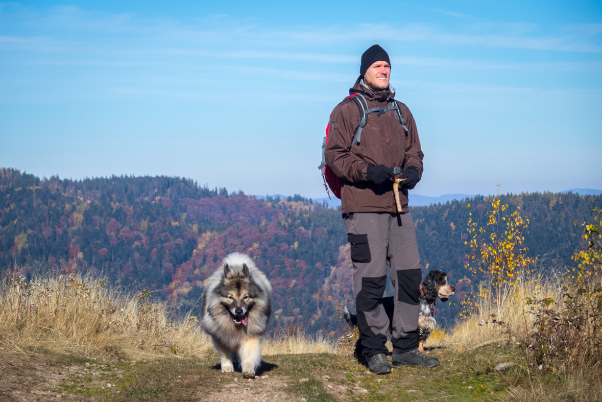 Sľubica z Dúbravy (Branisko)