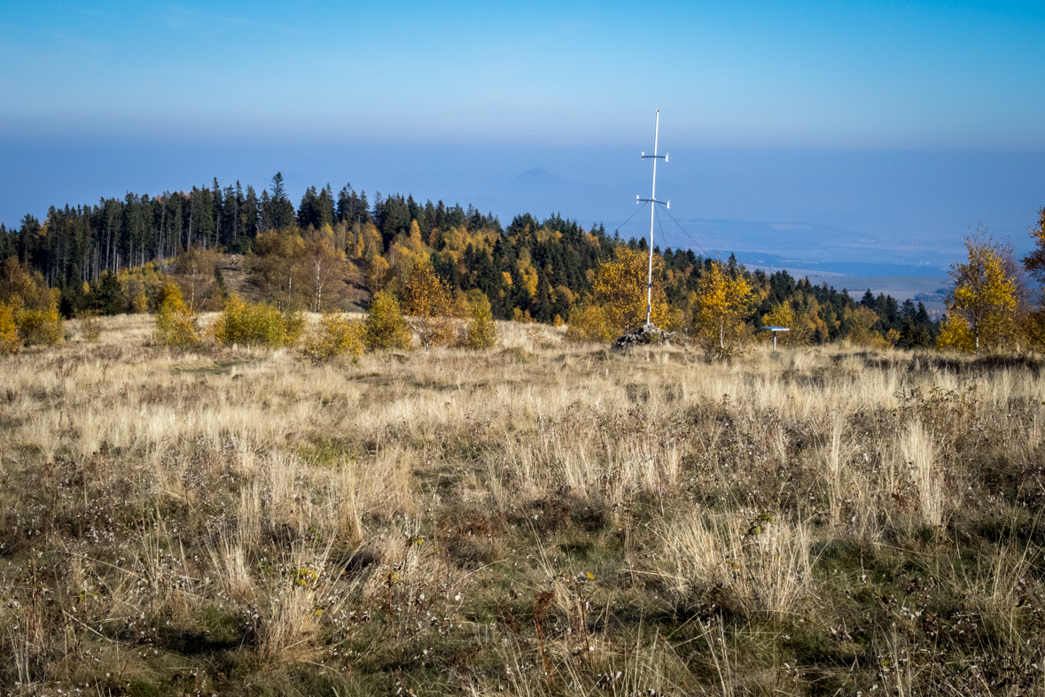 Sľubica z Dúbravy (Branisko)