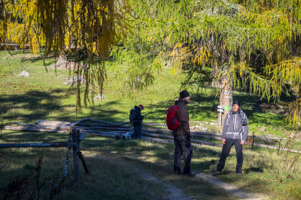 Sľubica z Dúbravy (Branisko)