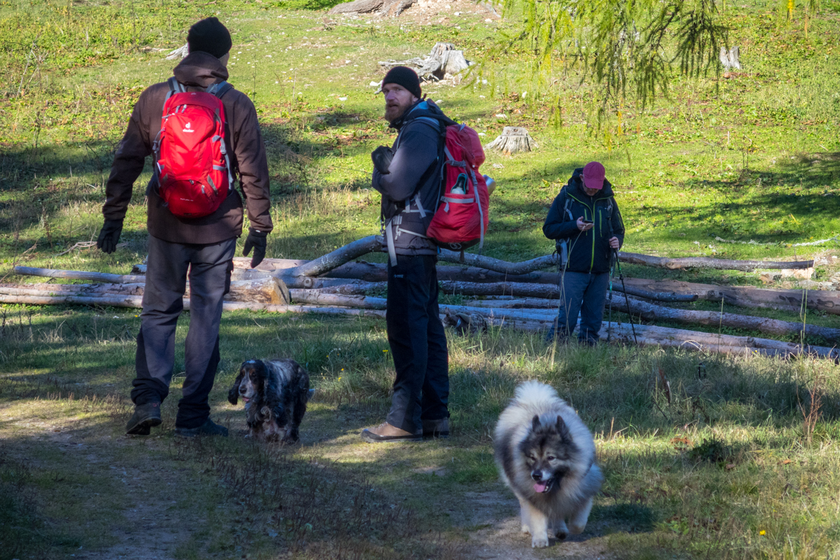 Sľubica z Dúbravy (Branisko)