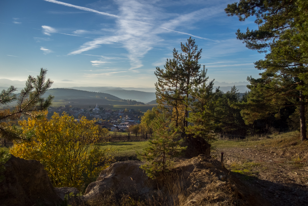 Sľubica z Dúbravy (Branisko)