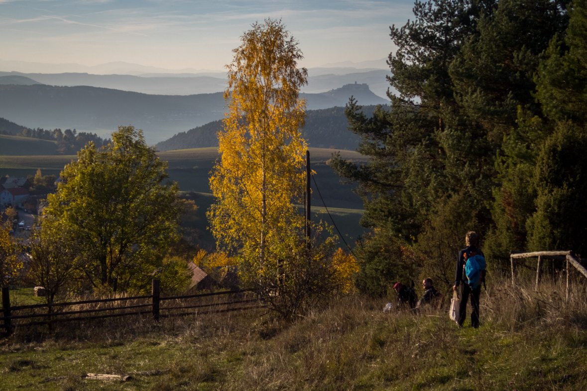 Sľubica z Dúbravy (Branisko)