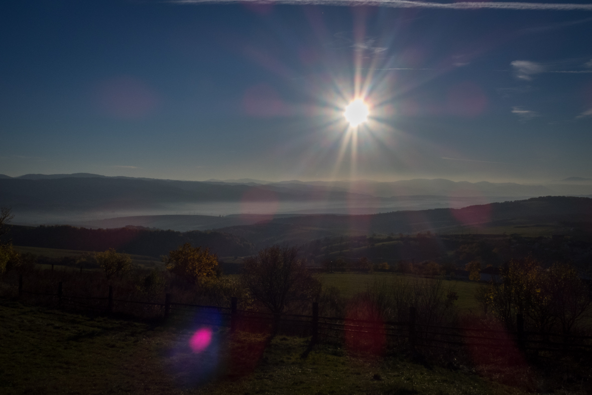 Sľubica z Dúbravy (Branisko)