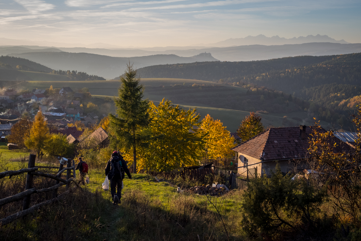 Sľubica z Dúbravy (Branisko)