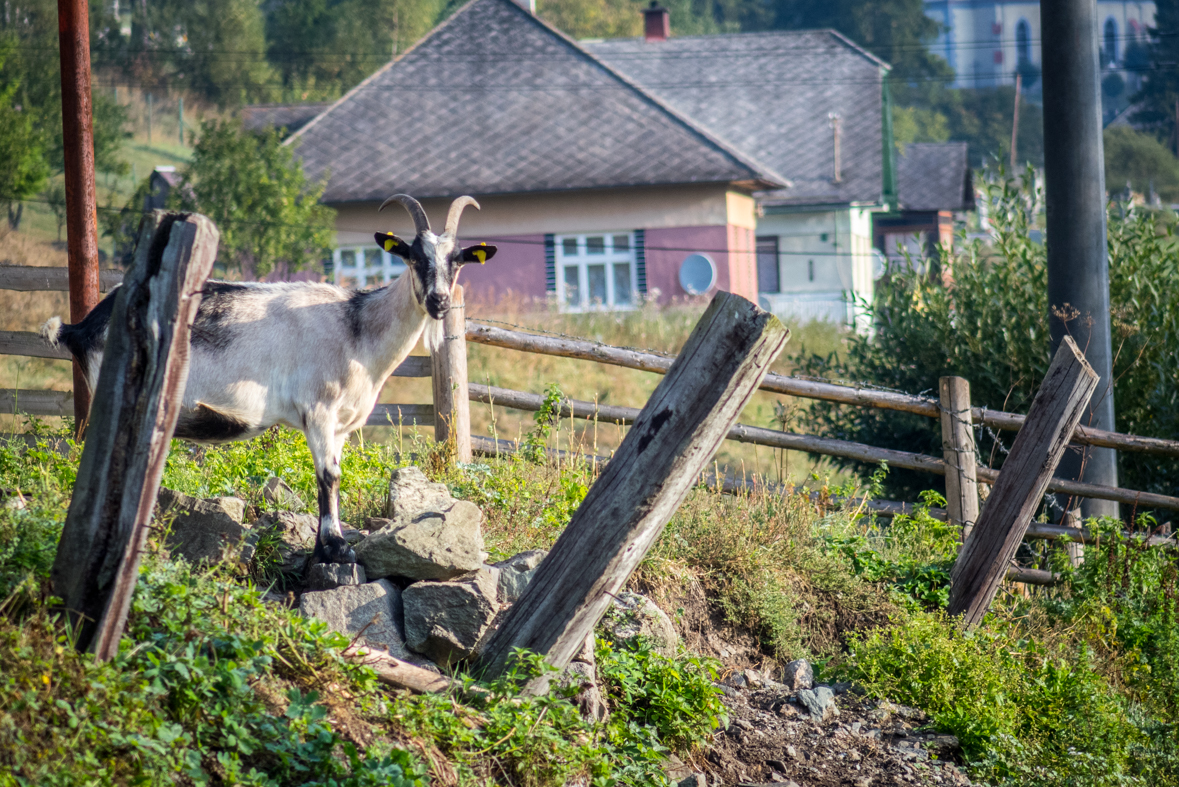 Veľká Knola z Hnilca (Volovské vrchy)