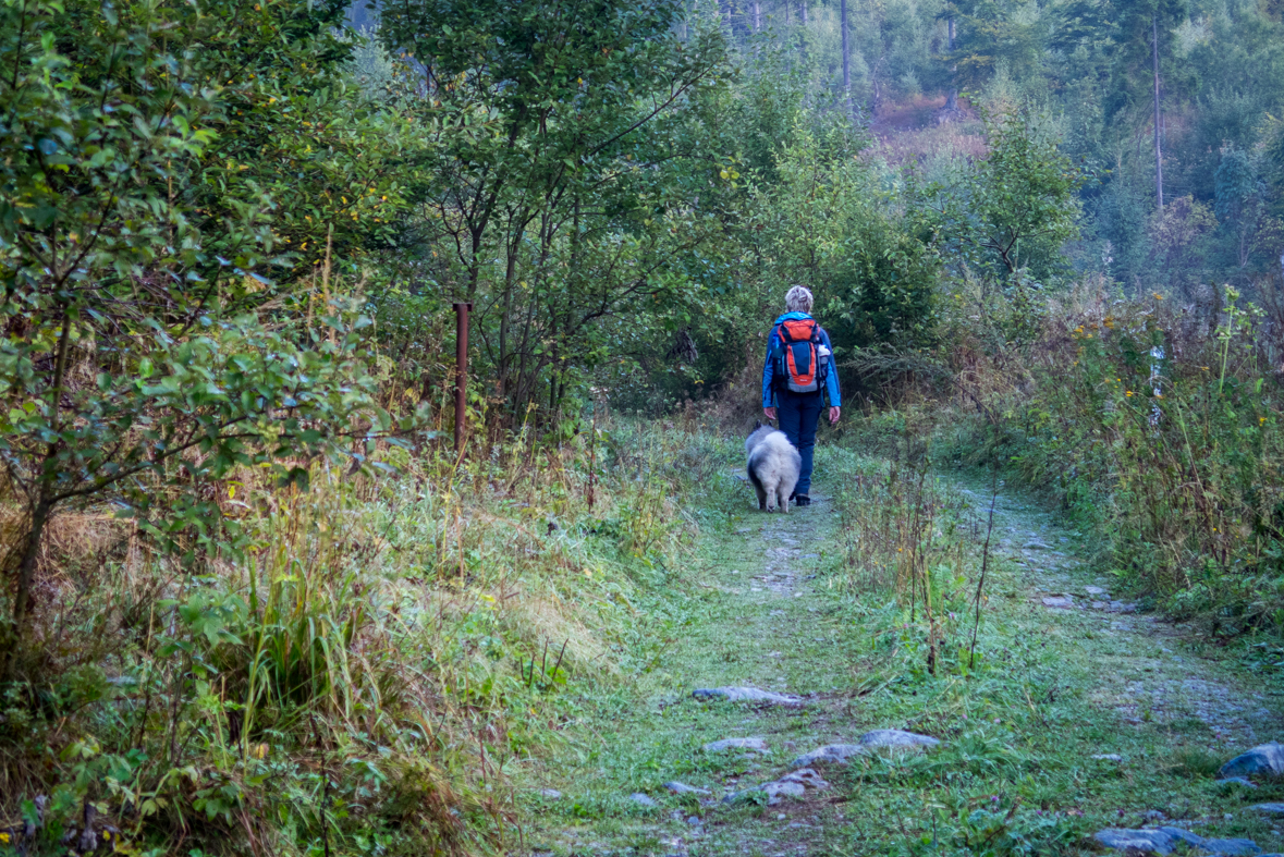 Veľká Knola z Hnilca (Volovské vrchy)