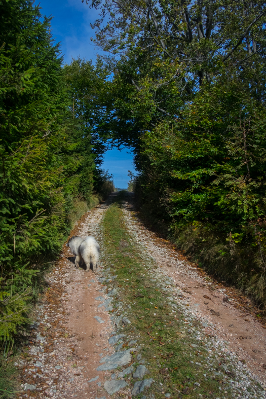 Veľká Knola z Hnilca (Volovské vrchy)