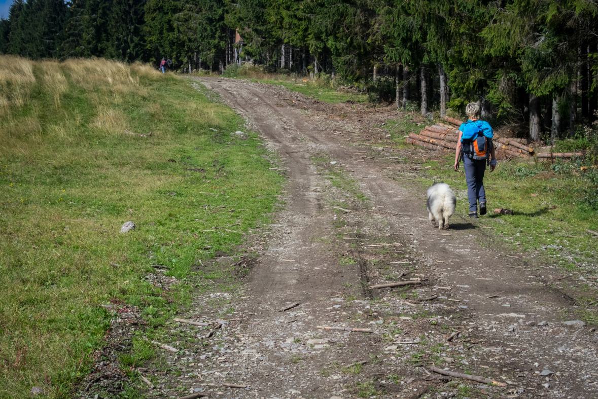 Veľká Knola z Hnilca (Volovské vrchy)