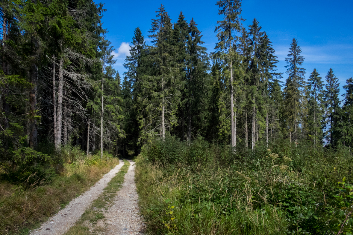 Veľká Knola z Hnilca (Volovské vrchy)