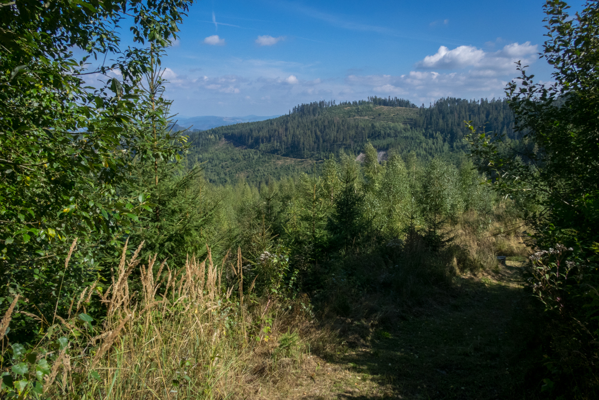 Veľká Knola z Hnilca (Volovské vrchy)