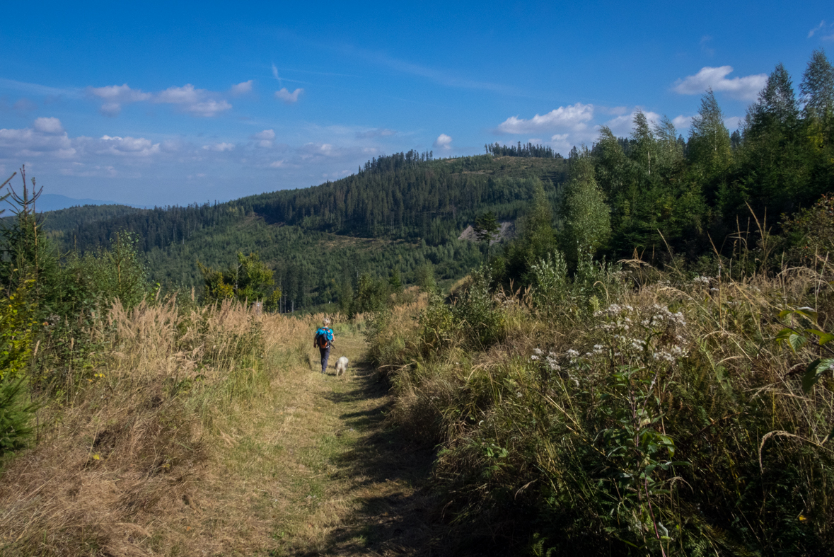 Veľká Knola z Hnilca (Volovské vrchy)