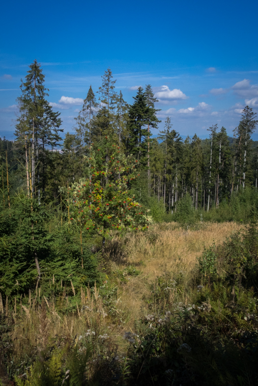 Veľká Knola z Hnilca (Volovské vrchy)