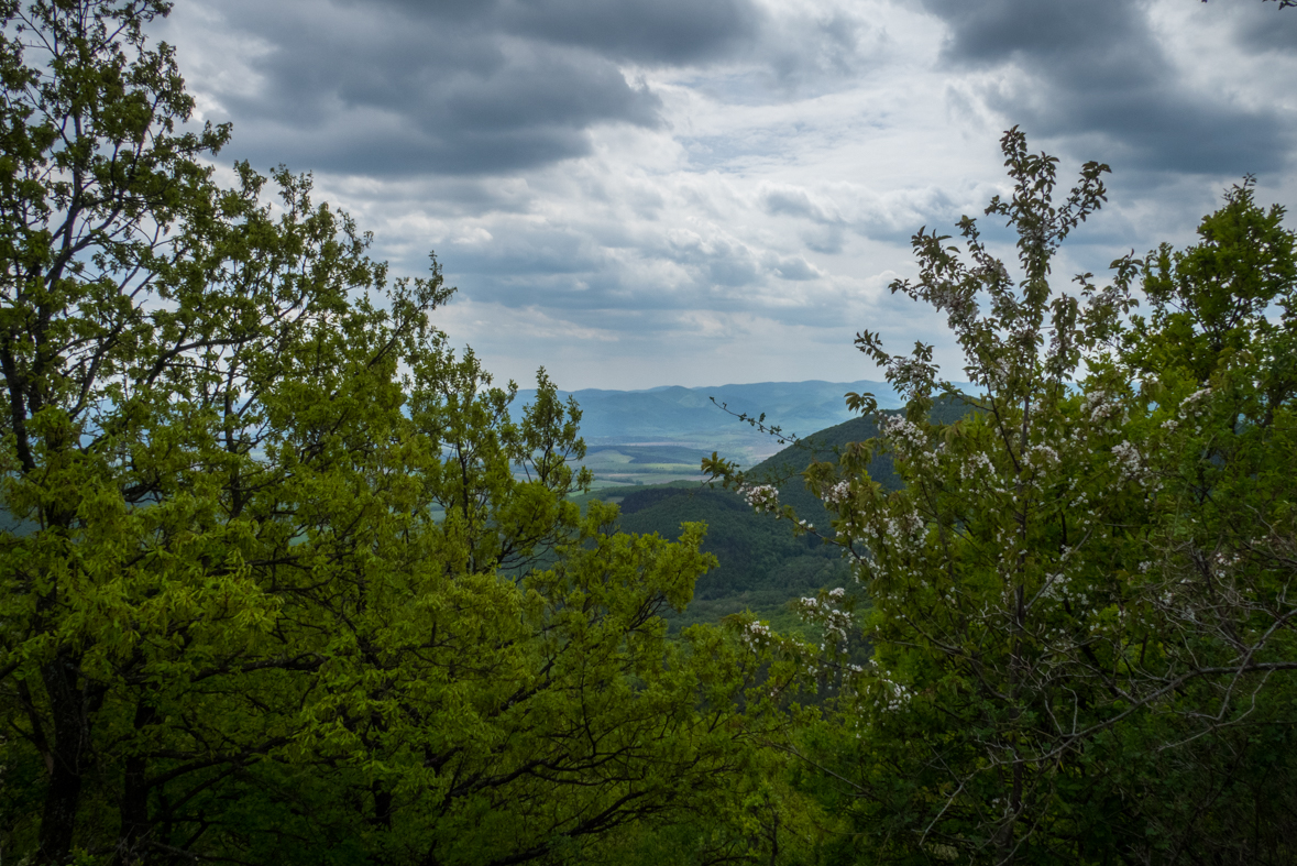 Veľký Milič z Izry (Slanské vrchy)