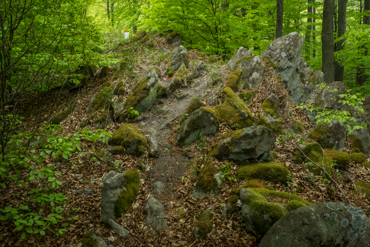 Veľký Milič z Izry (Slanské vrchy)