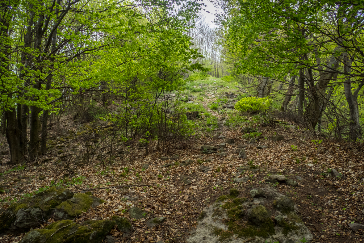 Veľký Milič z Izry (Slanské vrchy)