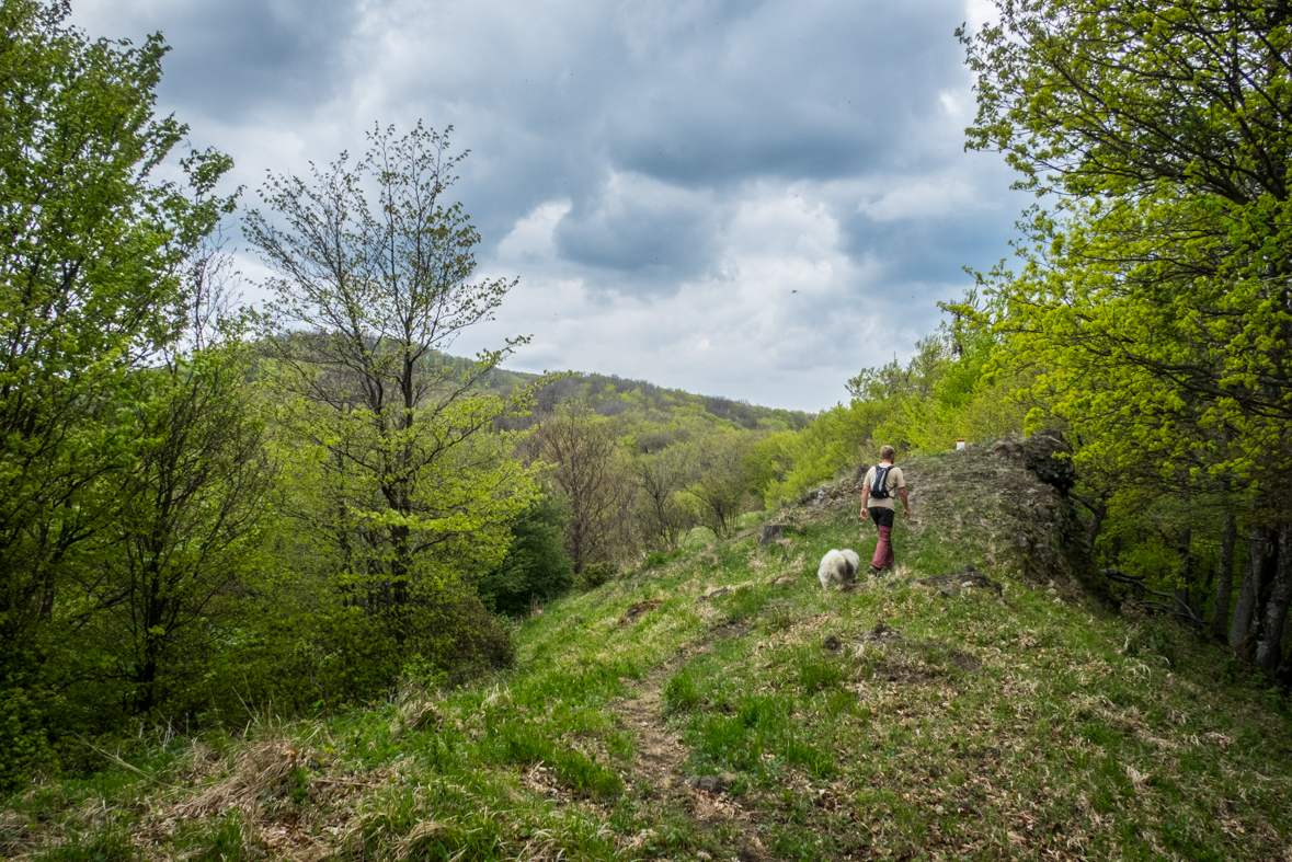 Veľký Milič z Izry (Slanské vrchy)