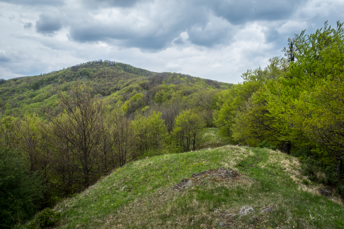 Veľký Milič z Izry (Slanské vrchy)