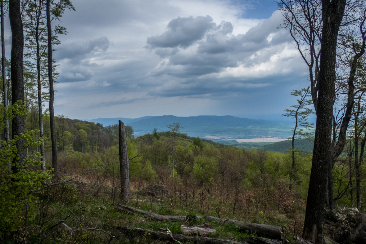 Veľký Milič z Izry (Slanské vrchy)